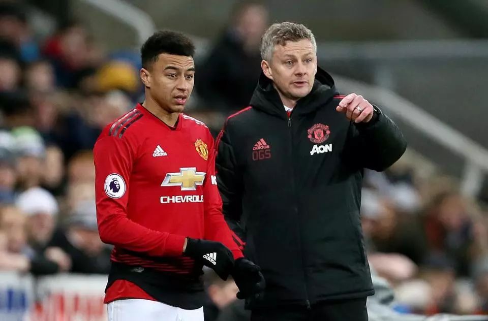 定的支持者 定的支持者